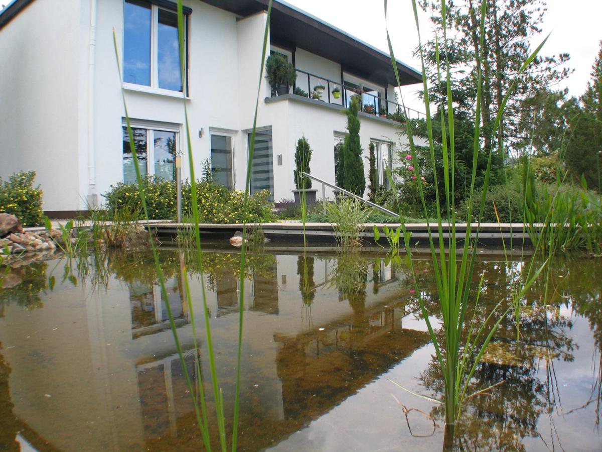 Ferienwohnung In Waldrandlage Zierenberg Экстерьер фото